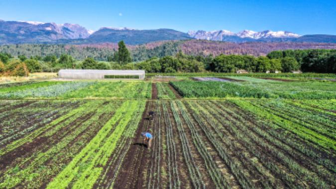 Farming, Gastronomy & Adventure Experience